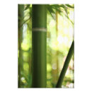 Search for bamboo gifts Meditation