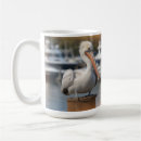 Search for florida wildlife mugs Pelican