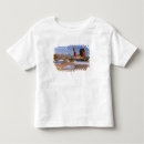 Search for balanced rock tshirts Usa
