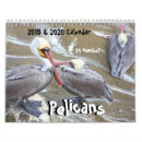Search for pelican calendars Birds