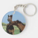 Search for foal key rings Bob langrish