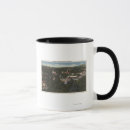 Search for sonora mugs Aerial