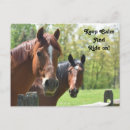 Search for backs postcards Summer