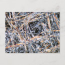Search for microscopic postcards Texture