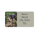 Search for labradoodle return address labels Dog
