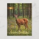 Search for deer hunting birthday cards Wildlife