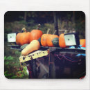 Search for pumpkin mouse mats Nature