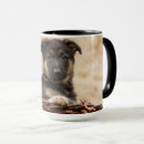 Search for german shepherd puppies mugs Pet