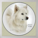 Search for american eskimo dog art Eskie