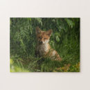 Search for fox puzzles Forest animal