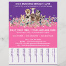 Search for walking flyers Dogs