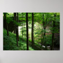 Search for 36 x 24 posters Trees