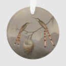 Search for hummingbird christmas tree decorations Jungle