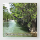 Search for cypress clocks Nature
