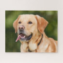 Search for yellow lab puzzles Puppies