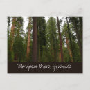 Search for mariposa postcards Tree