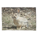 Search for rabbit pillowcases Bunnies