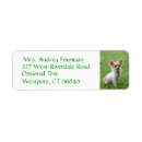 Search for chihuahua dog return address labels Dogs
