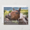 Search for equine image cards Pony