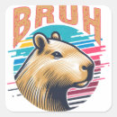 Search for funny faces meme stickers Animal