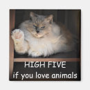 Search for adoption magnets Pet rescue