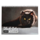 Search for black cat calendars Photography