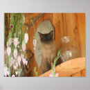 Search for siamese cats posters Flowers