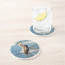 Search for bird coasters Photography