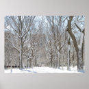Search for central park winter posters Trees
