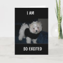 Search for for 9 year old girl birthday cards Ninth