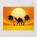 Search for desert horizontal postcards Palm tree