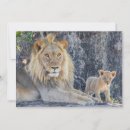 Search for wildcat cards Big cat