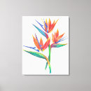 Search for bird of paradise art Floral