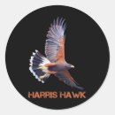 Search for hawk stickers Democrat