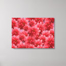 Search for beautiful pink flower canvas prints Bloom