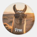 Search for llama magnets Peru