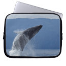 Search for motion picture electronics Outdoors