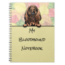 Search for bloodhound notebooks Puppy