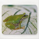 Search for tree frog mouse mats Green