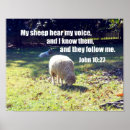 Search for sheep posters Bible verse