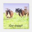 Search for herd dog magnets Canine