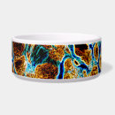 Search for reflections pet supplies Abstract