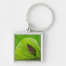 Search for bud key rings Flora