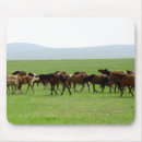 Search for grassland mouse mats Outdoors