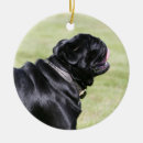 Search for walking christmas tree decorations Pug