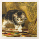 Search for funny cat coasters Kitten