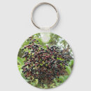 Search for edibility key rings Tasty
