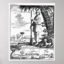 Search for buccaneering posters School