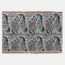 Search for black white zebra stripe and blankets Striped