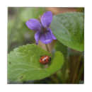 Search for ladybird tiles Flower